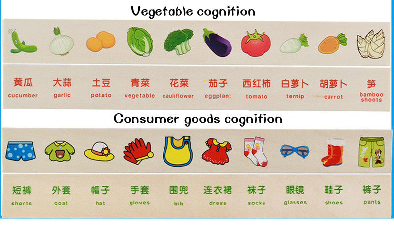 Montessori Cognitive Matching Blocks — eBabyZoom