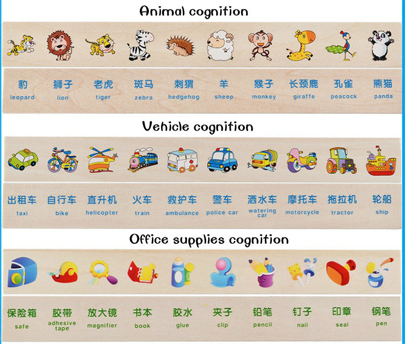 Montessori Cognitive Matching Blocks — eBabyZoom