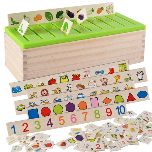 Montessori Cognitive Matching Blocks - eBabyZoom