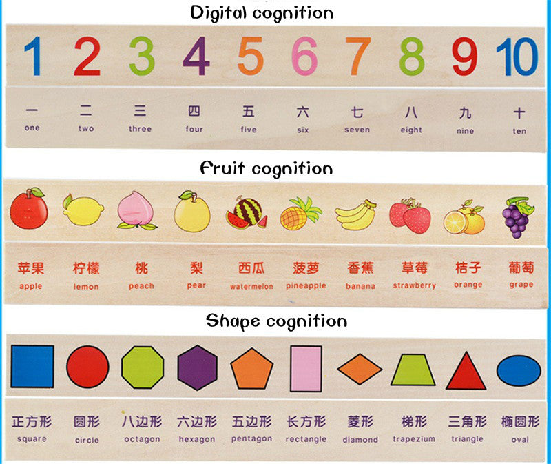 Montessori Cognitive Matching Blocks — eBabyZoom