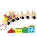 Montessori Wooden Train Cognitive Blocks - eBabyZoom