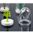 Four Seasons Plant Spice Jar 4 pcs/set Creative Animals Seasoning Bottle Salt Sugar Pepper Shaker Cooking Tools Kitchen Supplies - eBabyZoom