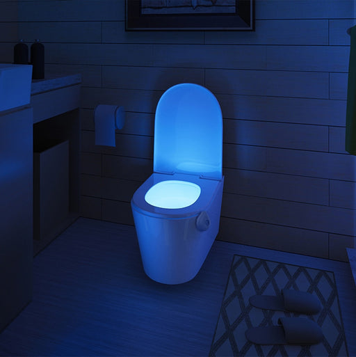 Disco Potty Toilet Night Light