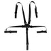 Baby Universal 5 Point Harness High Chair Belt - eBabyZoom