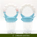 Food Nibbler Pacifiers - eBabyZoom