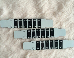 Baby Forehead Digital Thermometer - eBabyZoom